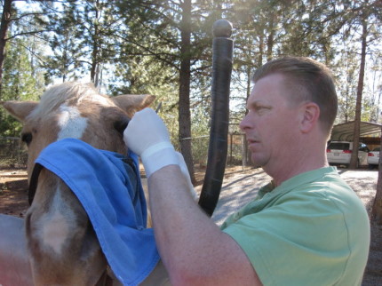 Dr Chapman field surgery