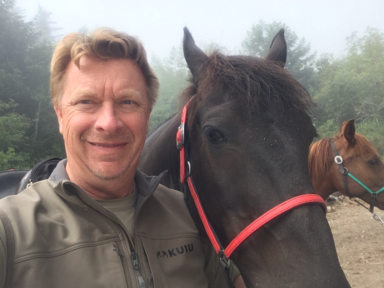 Dr Dan Chapman Equine Veterinarian